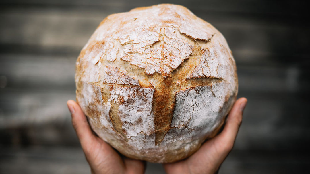 Sourdough 10/20/2025 2pm