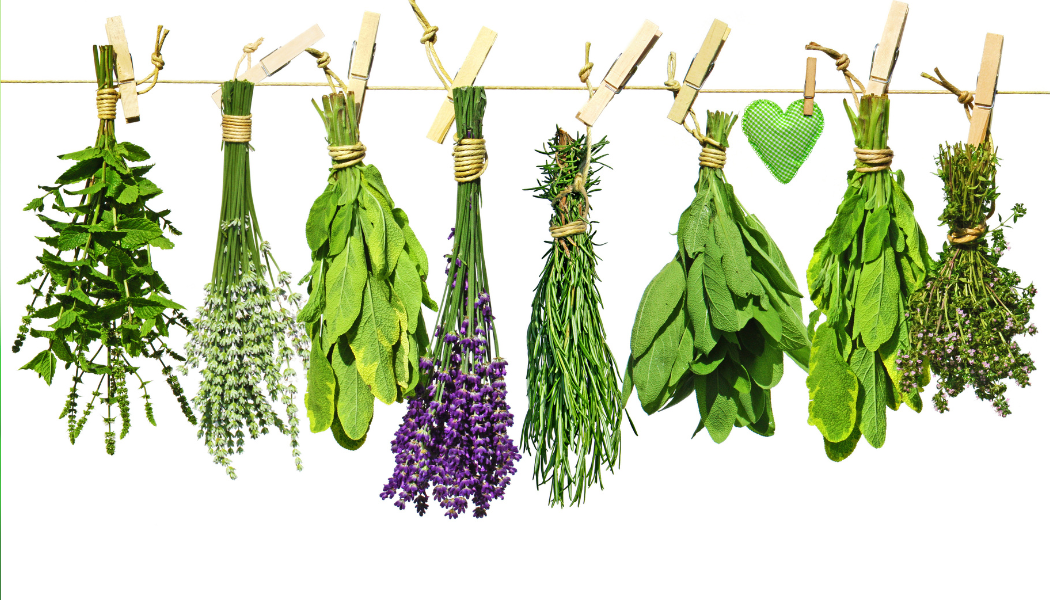 Lunch and Learn - Herbs with the Chef 10/22/2025 11:30am