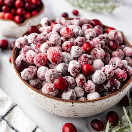 Seasonal Series: Cooking with Cranberries 11/09/2024