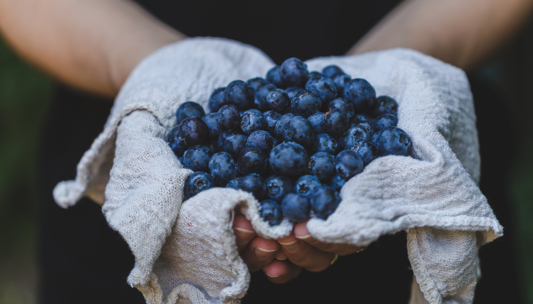 Seasonal Series: Cooking with Blueberries 6/7/2025 6pm