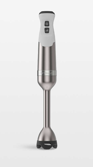 Vitamix: White 5- Speed Immersion Blender
